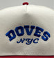 Doves College Block Red Bill & Blue Stitch 5-Panel Snapback